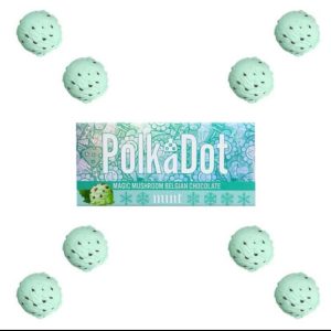 Polkadot Mint Mushroom Chocolate Bar For Sale 