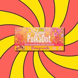 Polkadot Pomegranate Chocolate Bar For Sale